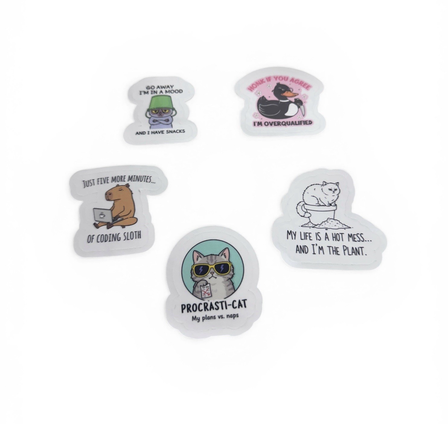 Funny Vinyl Meme Stickers (5 PCS) Waterproof Decal for Indoor/Outdoor