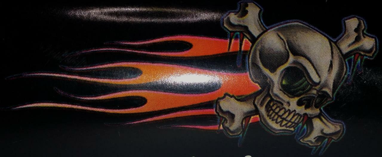 New Auto Flaming Skull Body or Windshield Graphic Decal Kit 15″ x 32″ Set of 2