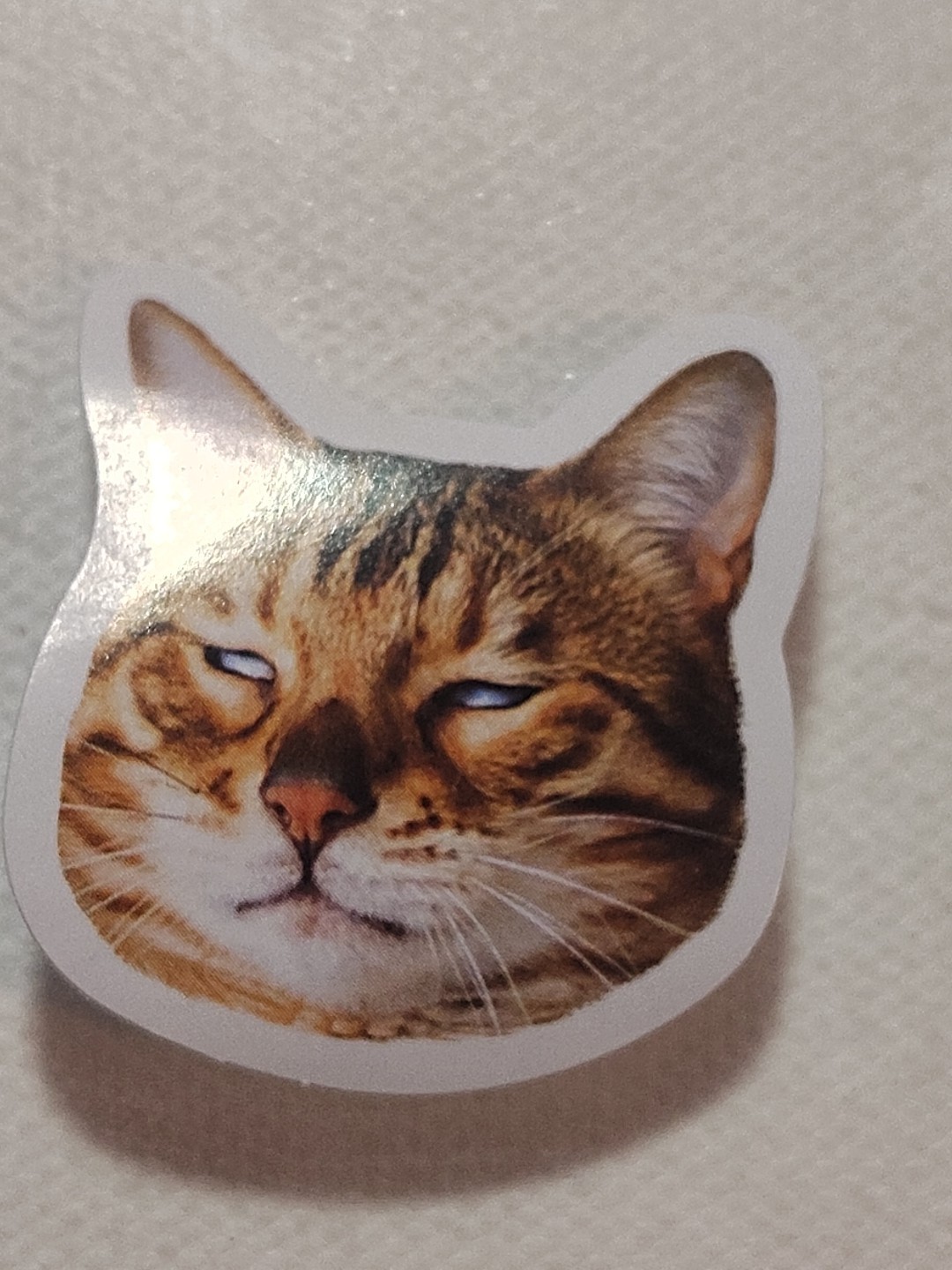 Funny Orange Cat Face Sticker Decal Laptop Phone Fashion 1.5″ Tall
