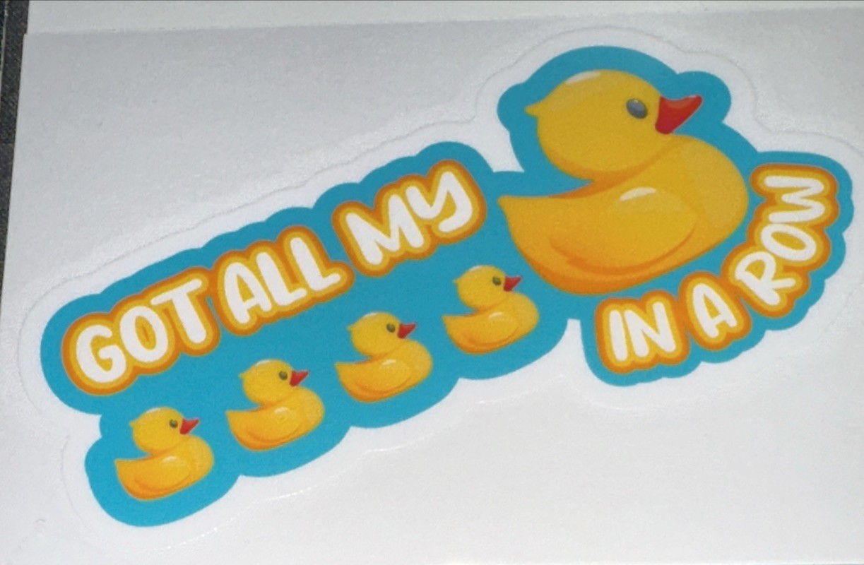 DUCKS STICKER✨🦆 ✨💛✨🦆✨4 3/4” x 2 1/4”✨GOT ALL MY IN A ROW✨CUTE DUCKIES✨💫