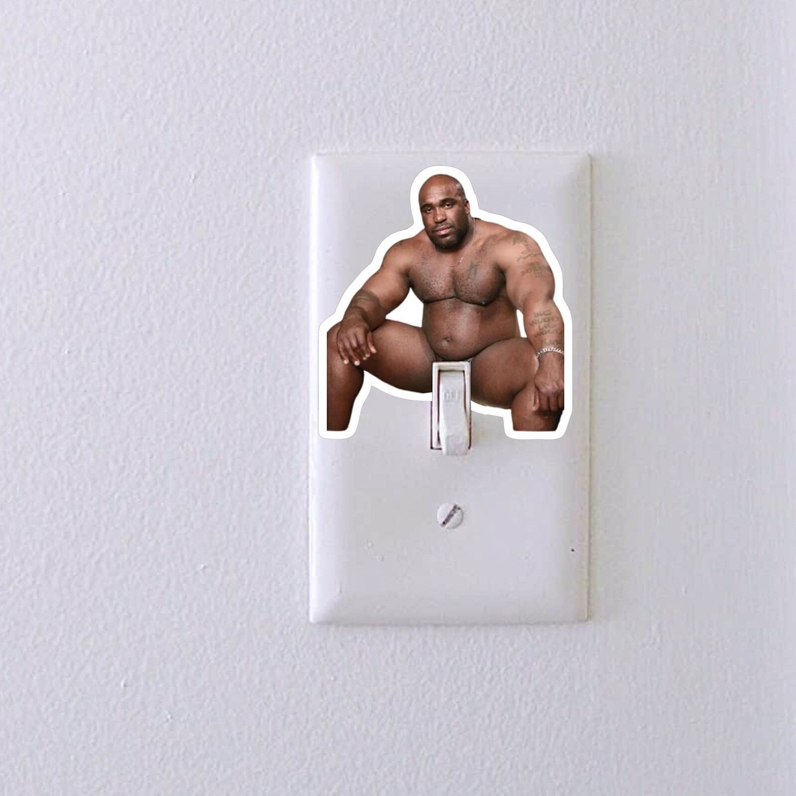 5 Pcs Funny Barry Wood Decal Sticker Prank For Light Switch Hanger Waterproof