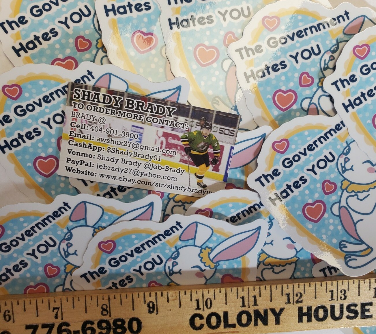 The Government Hates You STICKERS 10 PACK LOT *WORLDWIDE 🌐 SHIPPING*