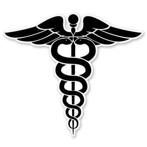 Medical Symbol EMS Snakes Car Vinyl Sticker – SELECT SIZE