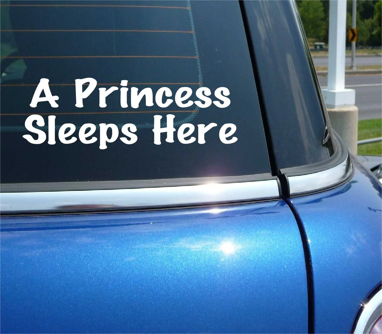 A PRINCESS SLEEPS HERE DECAL STICKER BEDROOM CHILD CHILDREN BABY BED ROOM GIRL