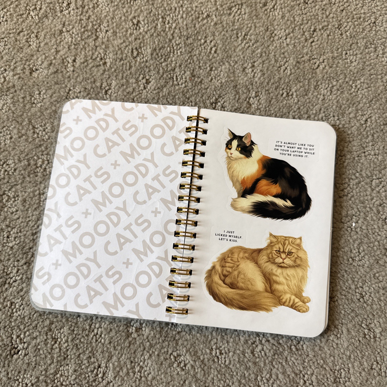 Brass monkey Co Moody Cats Sticker Book Funny Gift Cat Lover