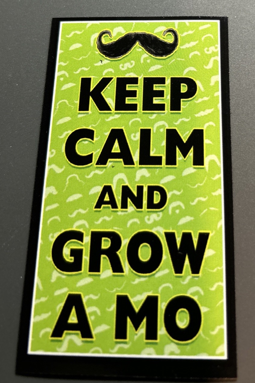 Fridge Magnet: KEEP CALM & GROW A MO / MUSTACHE (Keep Calm Parody Humor)