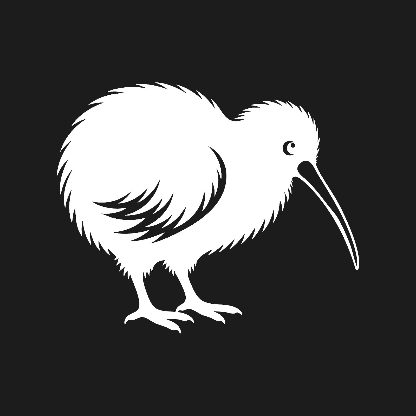 Detailed Kiwi Bird Vinyl Decal Bird New Zealand Animal Car Sticker