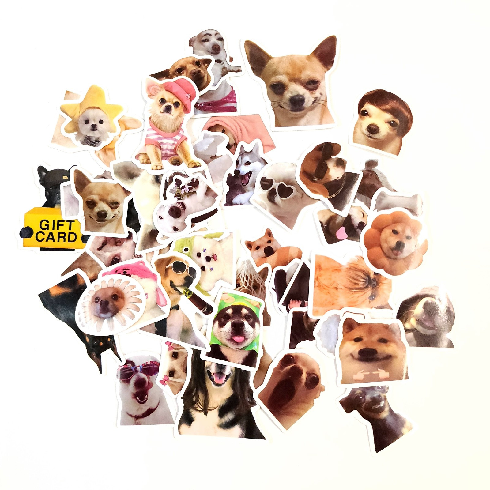 50 Pack Internet Celebrity Silly Dogs Vinyl Stickers Scrapbooking