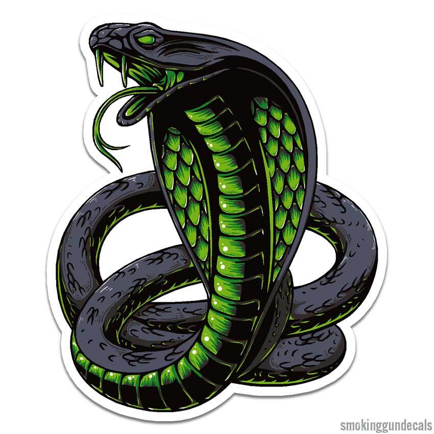 Cobra Green Snake, Vinyl Decal Sticker, Indoor Outdoor, 3 Sizes, #12602