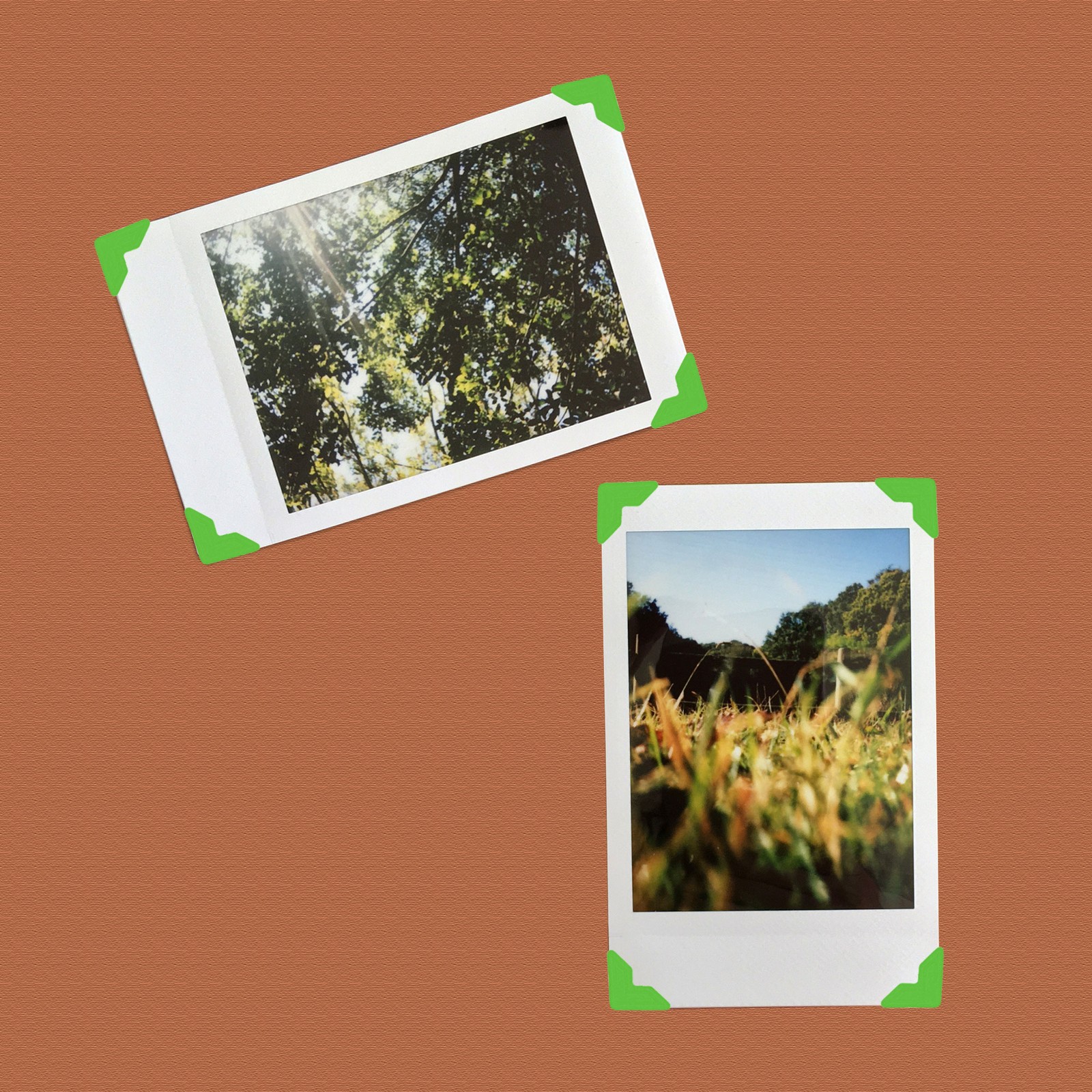15Sheets/240Pcs Photo Corners Adhesive DIY Picture Mounting Sticker Green