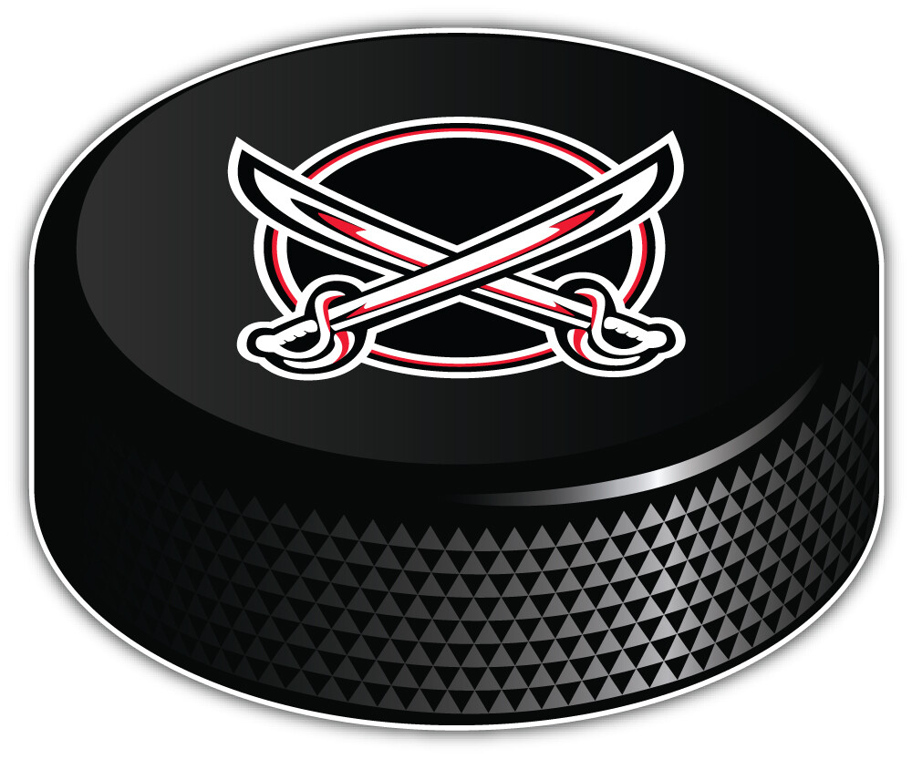 Buffalo Sabres NHL Hockey Sport Logo Car Bumper Sticker Decal «SIZES»