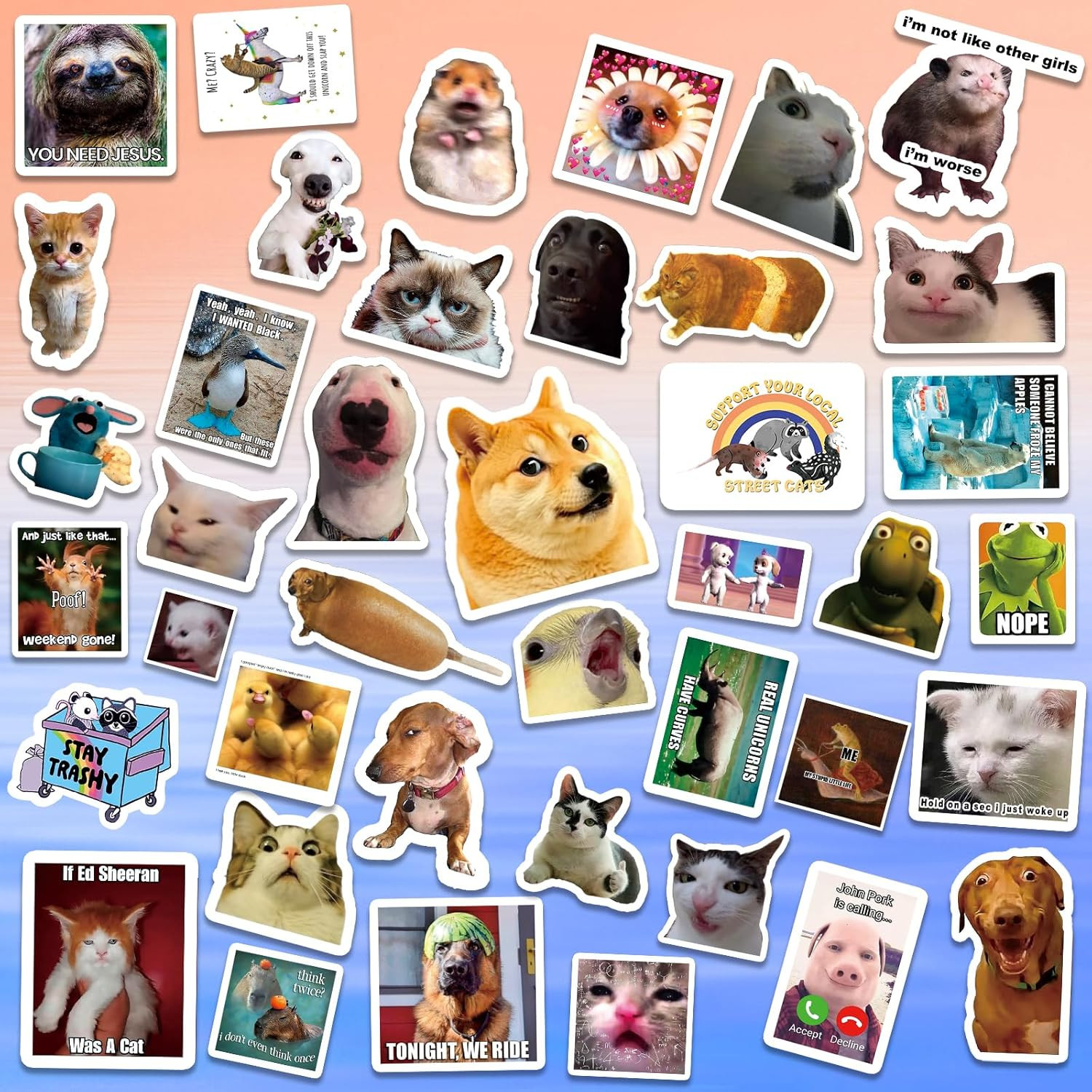 337PCS Funny Meme Stickers Pack, Waterproof Funny Stickers, Vinyl Sarcastic Meme