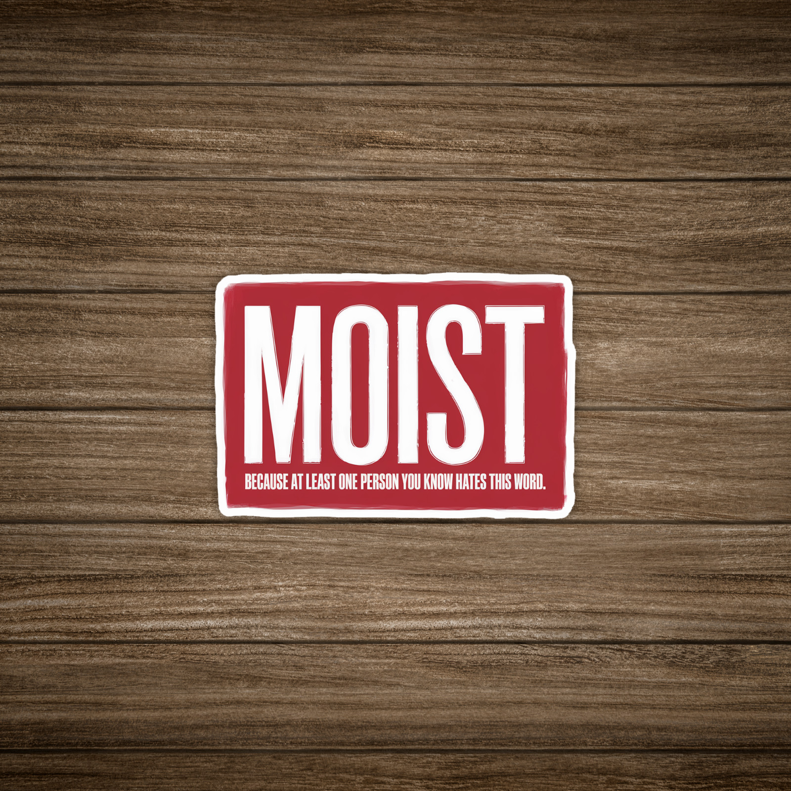 Funny Sarcastic Moist Word Sticker – Humorous Gag Gift Decal for Word Haters #52