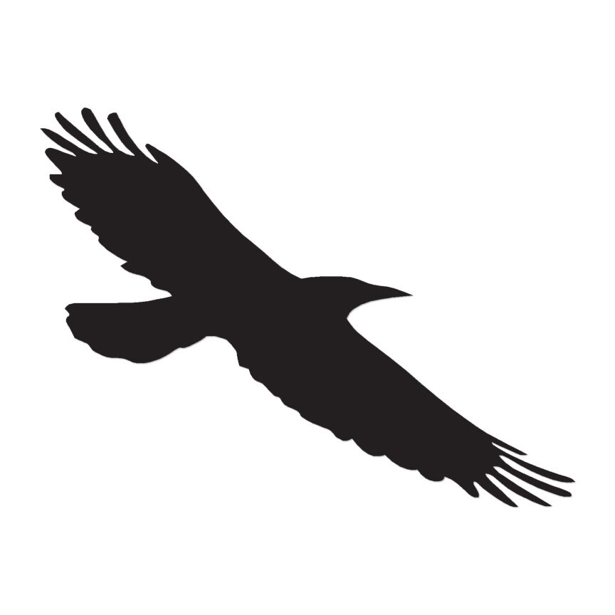 Crow Blackbird Raven – Vinyl Decal Sticker – Multiple Color & Sizes – ebn189