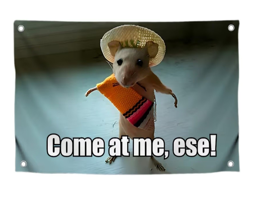 Hanging Wall Art Flag Come At Me Ese Mouse Sombrero W/ Metal Grommets 3ft X 5ft