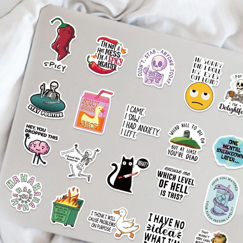 50PCS Funny Meme Stickers Adult Sarcastic Waterproof Vinyl Laptop Decals