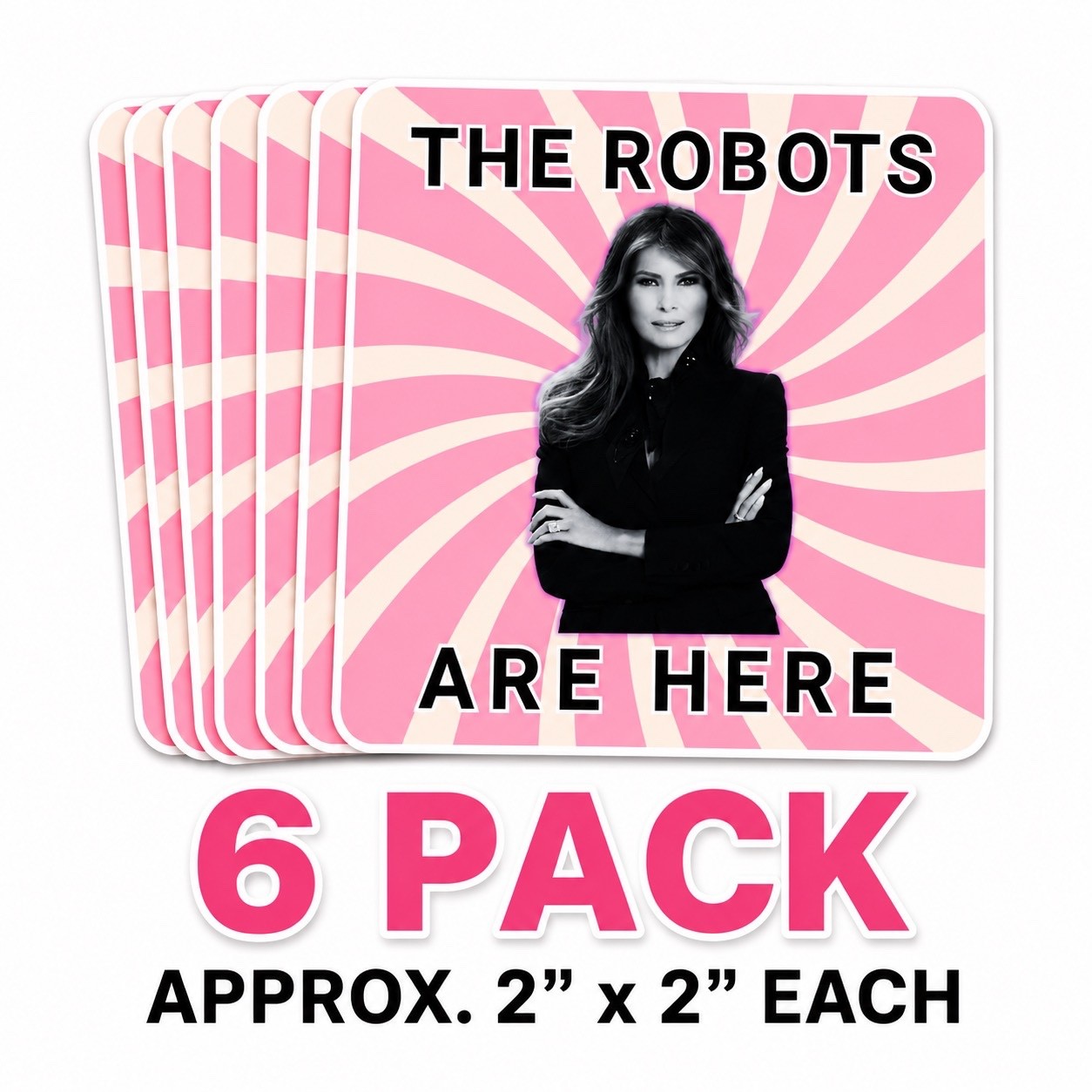 The Robots Are Here Anti AI Sticker Pack, Die Cut Vinyl Waterproof Decals 6 pcs