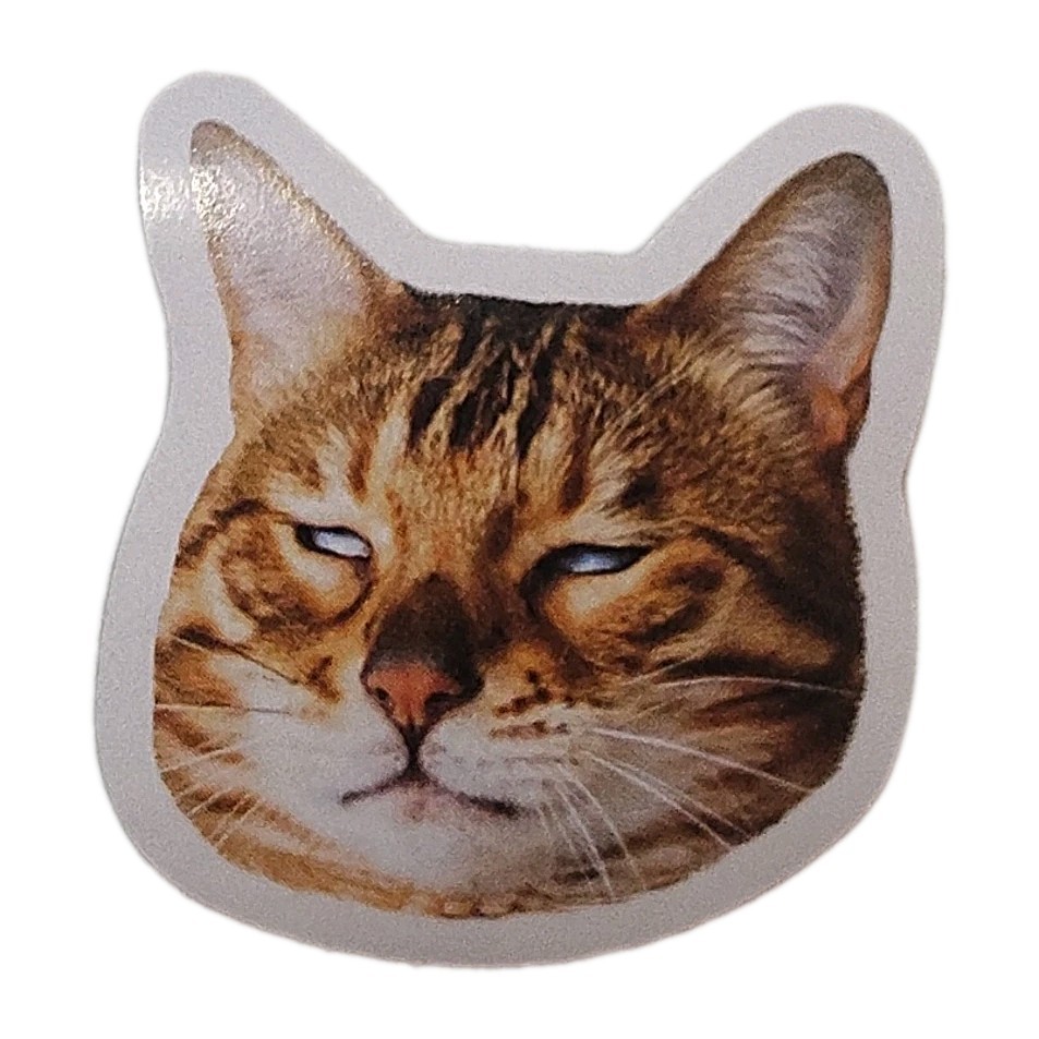 Funny Orange Cat Face Sticker Decal Laptop Phone Fashion 1.5″ Tall