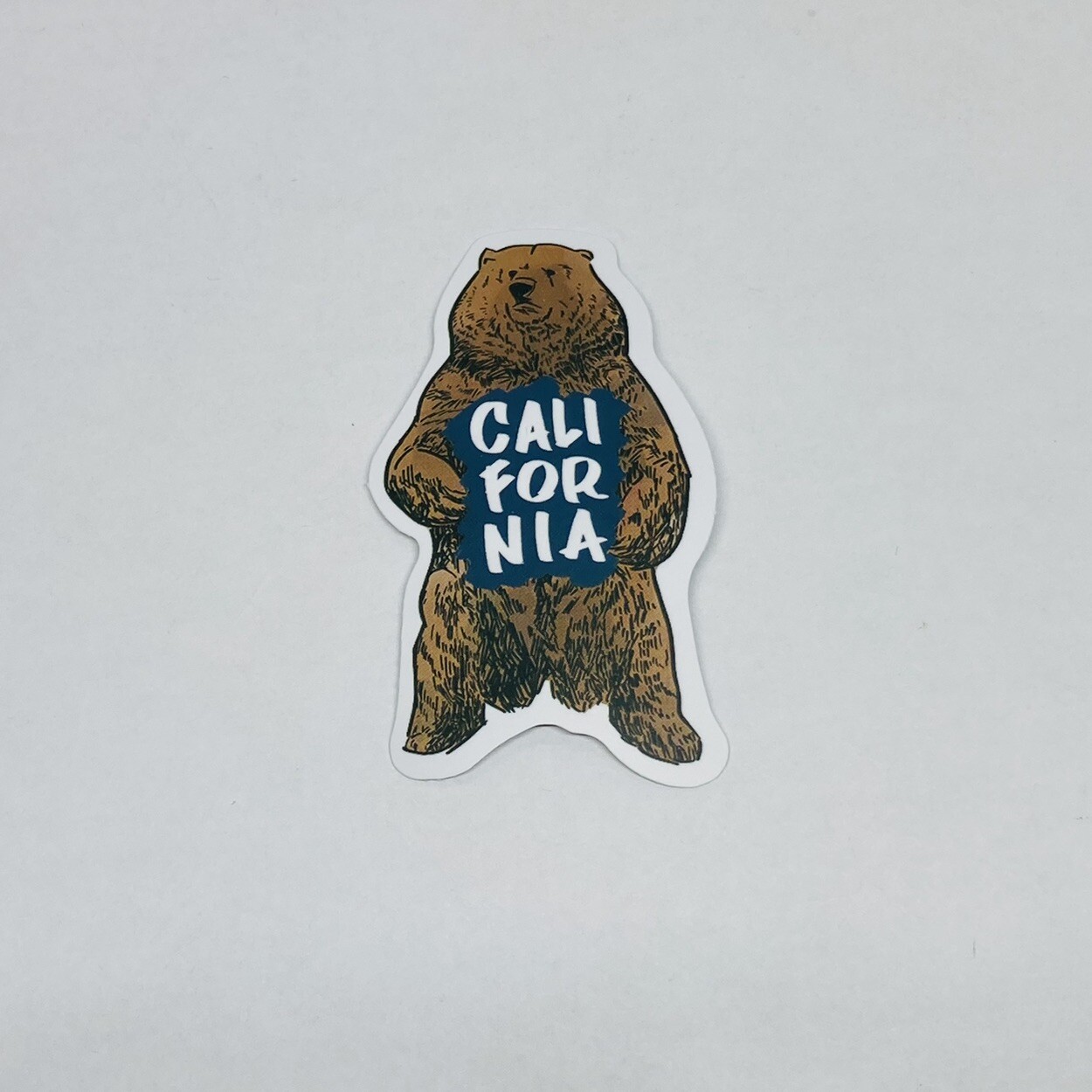 California State Brown Bear Sticker Outdoor Travel Art Decal Vinyl Souvenir Tc6