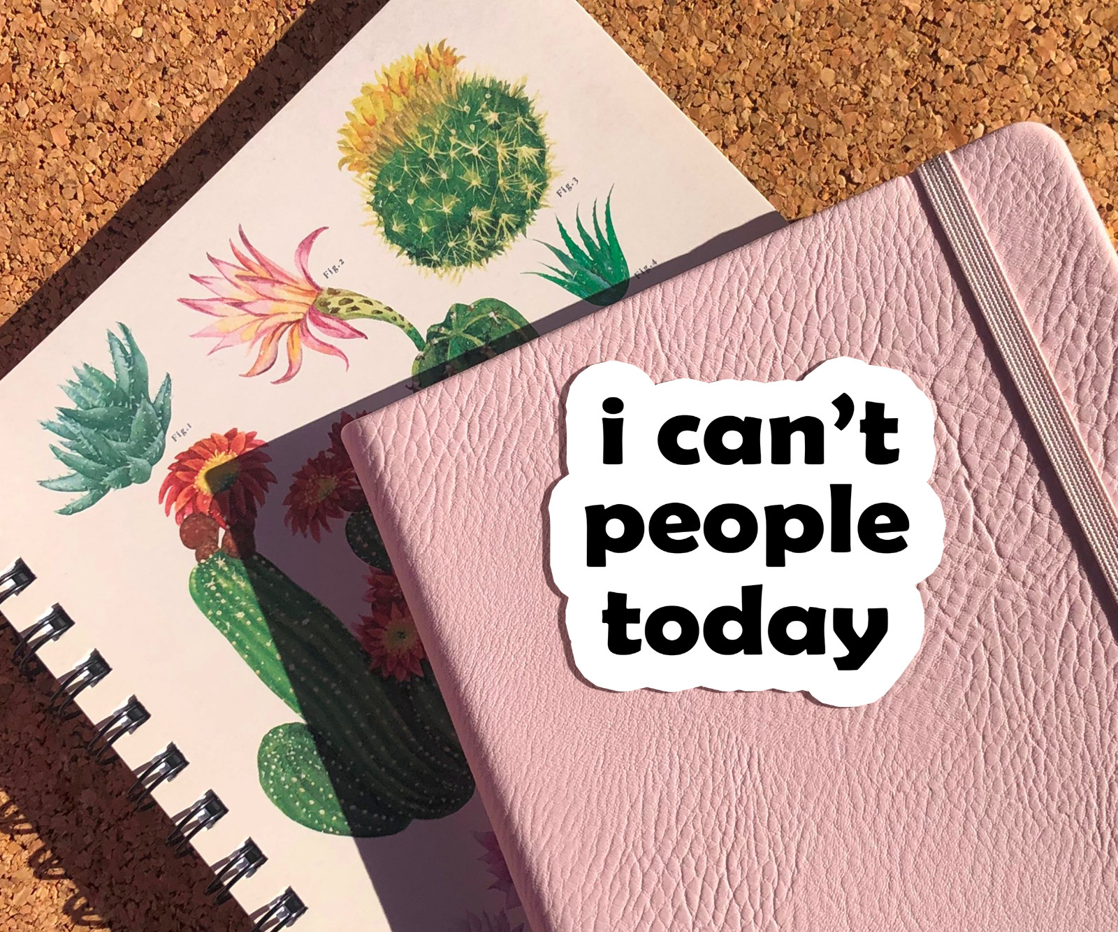 I Can’t People Today Vinyl Sticker – Funny Introvert Decal