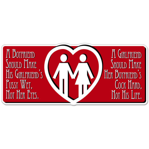 Girlfriend Boyfriend Adult Funny Wet Hard Crude car bumper sticker 6″ x 3″