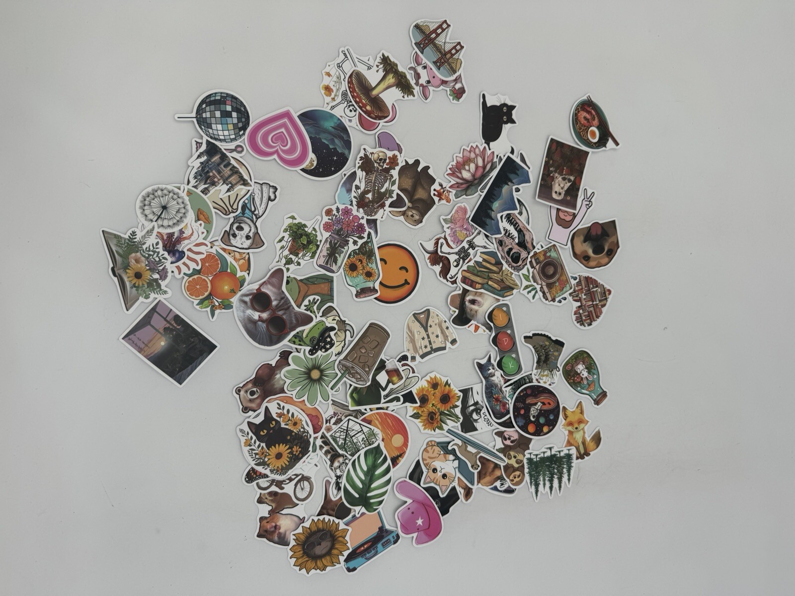 100 Piece Stickers Peel Water Bottle Laptop Luggage Random Assortment