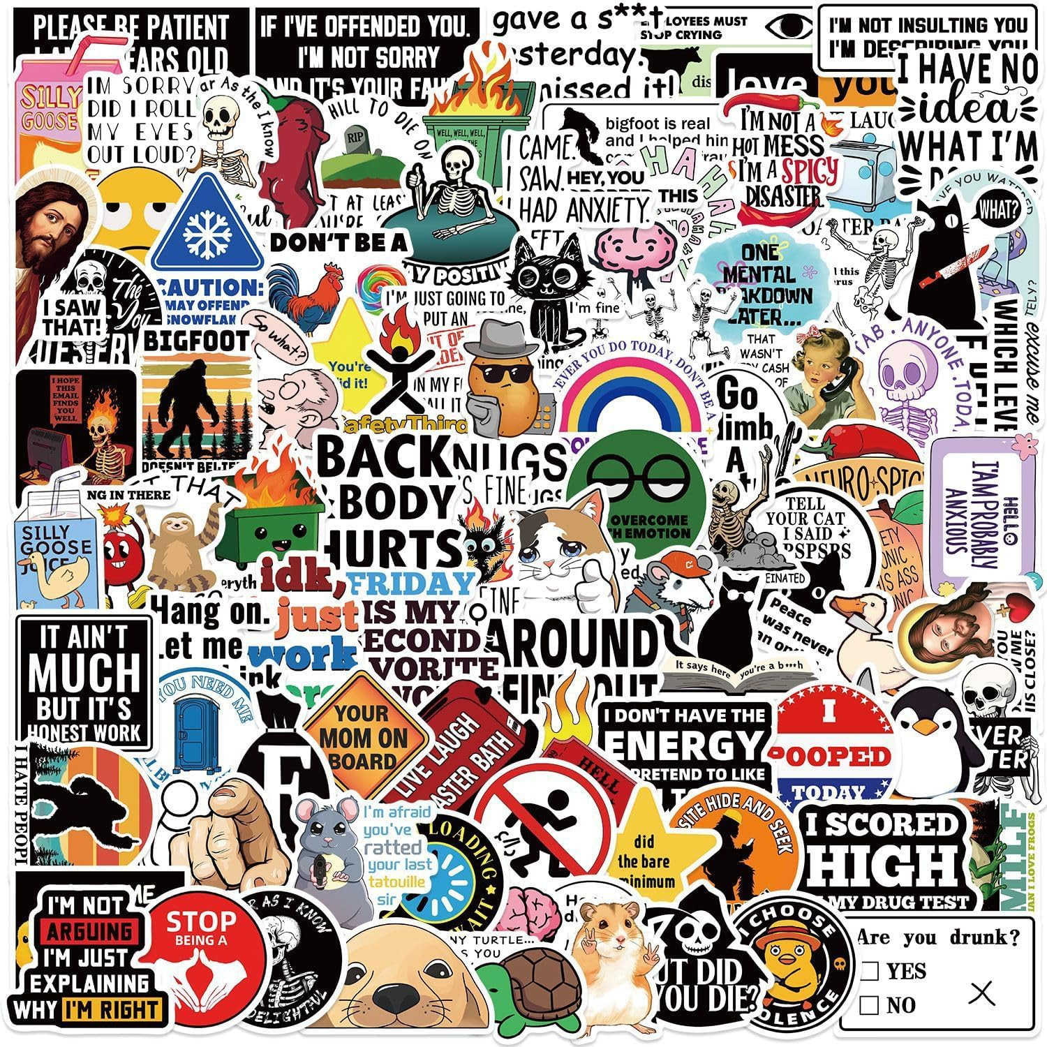 100 PCS Funny Stickers for Adults Snarky Meme Prank Meme Dirty Hilarious Sticker