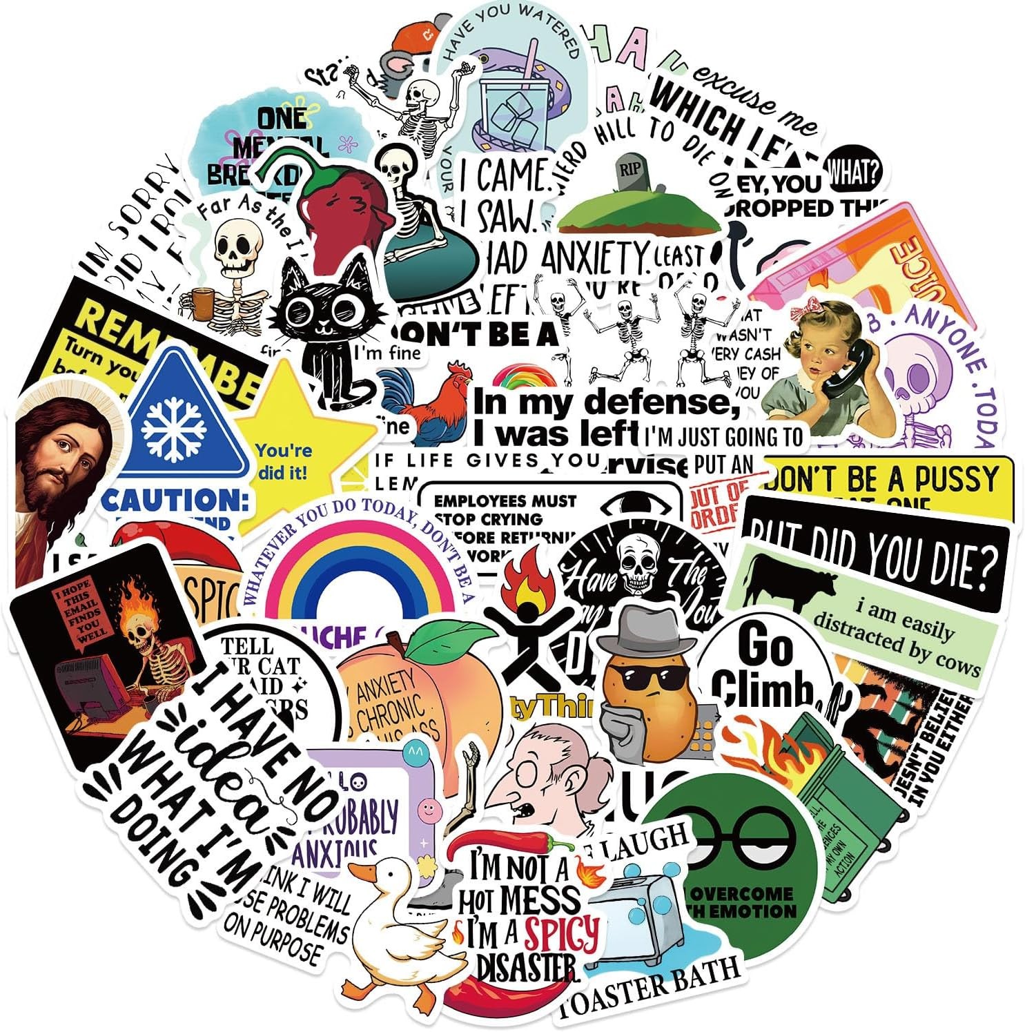 50Pcs Funny Adults Stickers Bulk, Prank Meme Sticker for Kids Teens Adults, Snar