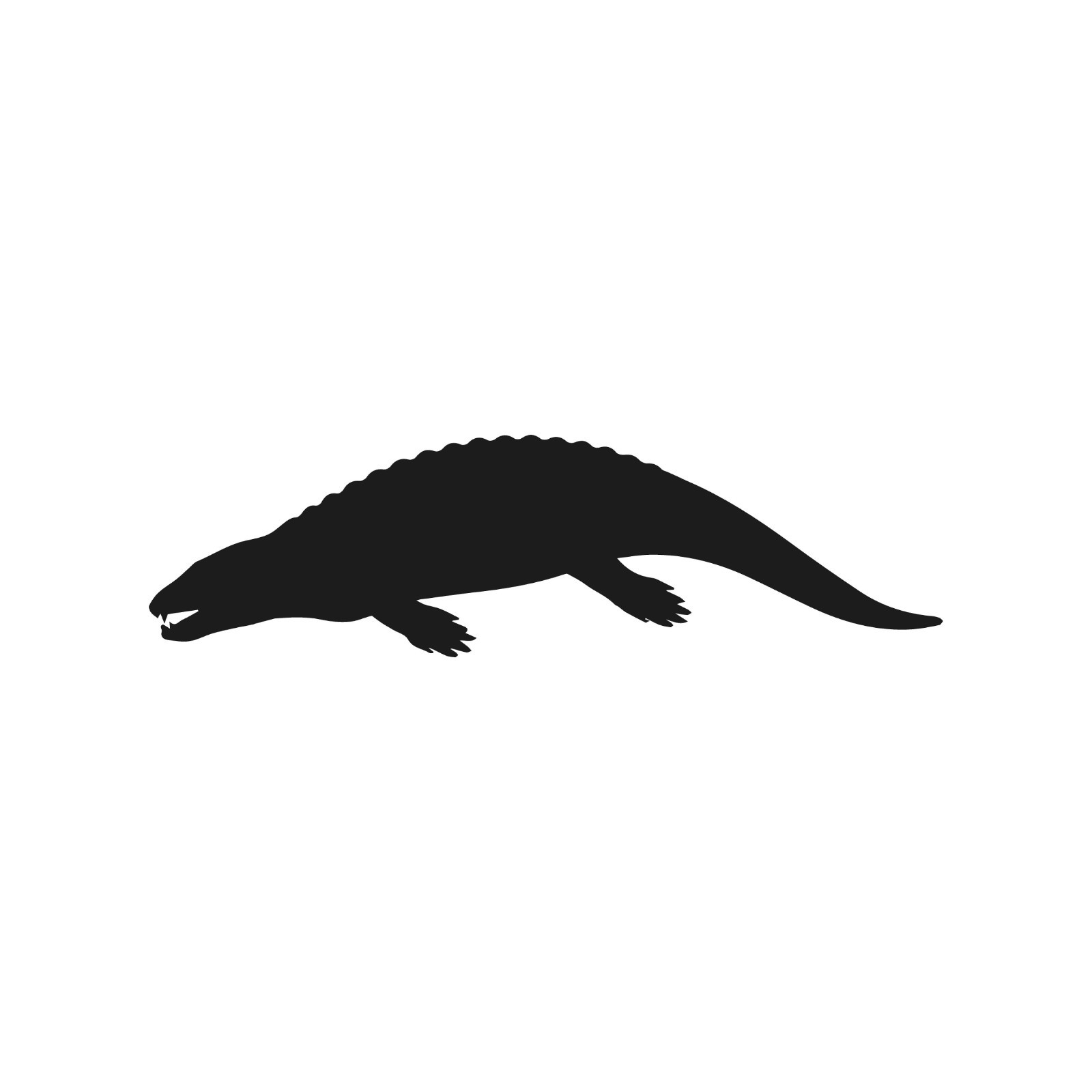 Placodus Vinyl Decal Prehistoric Water Animal sticker