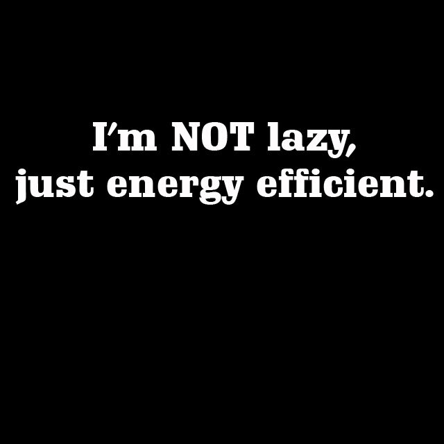 I’M NOT LAZY, JUST ENERGY EFFICIENT CUSTOM VINYL DECAL STICKER