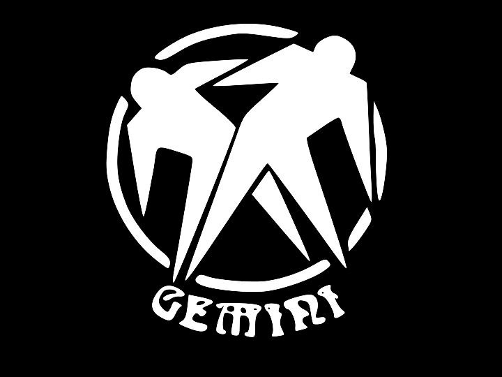 GEMINI Seal Birth Sign Astrology Zodiac Vinyl Decal Car Wall Sticker CHOOSE SIZE